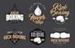 design professional modern and minimalist boxing logo