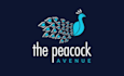 do modern custom peacock logo design just 12 hrs