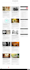 write professional and SEO optimized website content