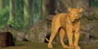 do any 3d animal model 3d character animation creature xgen vfx composting cgi