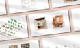 develop a complete design concept with diagrams and renders from scratch