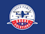 design professional drone logo