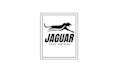 do amazing graphic design, logo design and many more