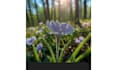 beautiful flower views background