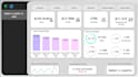develop a fully customized and advanced power bi report