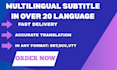 translate,transcribe your video professionally