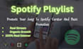 promote your track via curated spotify playlists
