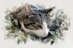 make drawing potrait with watercolour painting