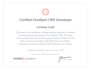 develop a custom hubspot theme for your business