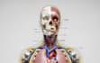 design medical simulator for you