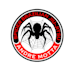 design a wonderful spider logo