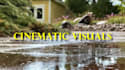 do professional realestate video editing