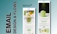 design klaviyo email flows, klaviyo email template