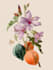 botanical illustration with scientific focus