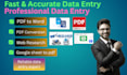 professional data entry services