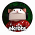do proffesional roblox scripting on a reasonable price