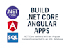 develop full stack dot net and angular web applications