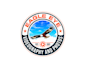 create awesome and gorgeous eagle logo design