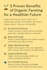 do SEO blog and article writing professionally