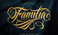 design perfessional custom font and lettering