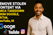 remove stolen content via dmca takedown from google, tiktok, youtube, ig
