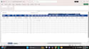 prepare monthly payroll and professional salary slip