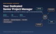 dedicated senior project manager