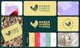 create a professional brand identity and guidelines