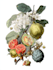 draw botanical and animal designs and patterns for you