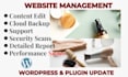 provide shopify store maintenance service to fix low sales and technical issues