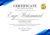 design professional,unique,modern,stunning, elegant, or customized certificates