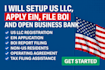 do US llc registration, ein, boi report and open business bank, stripe paypal