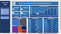create professional and dynamic visuals and dashboards