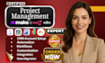 implement, setup and integrate clickup, notion, trello, bubsdo for your business