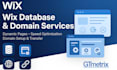 do wix website, domain connection, dynamic page, wix database, transfer domain