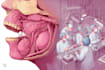 design medical and scientific illustration