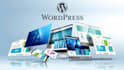 design and develop a wordpress website