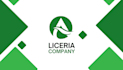 design a premium and creative visiting card