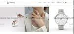 create responsive and professional looking websites