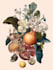 draw a scientific illustration