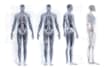 draw your medical illustration