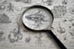 draw a scientific illustration art
