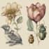 draw an animal and botanical illustration