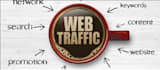 do complete website business promotion and traffic generation strategy