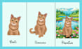 draw your lovely pets into disney pet style