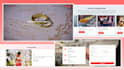 build websites, frontend, full stack developement
