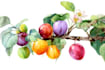 draw botanical illustration of flower illustration