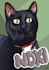 draw your pet as a cartoon