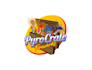 create professional and specially firework logo design
