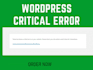 customize wordpress, fix wp error, edit theme,template, css, plugins